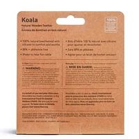 Anneau Dentition Koala
