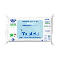 Compostable Water-Based Cleaning Wipes