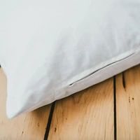 Adult Buckwheat Pillow