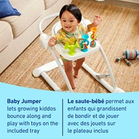 JumpStart 4in1 Activity Bounce - Wren