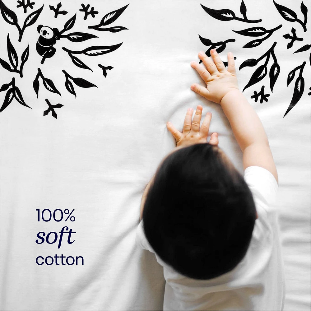 Smart Sheet One-Pack