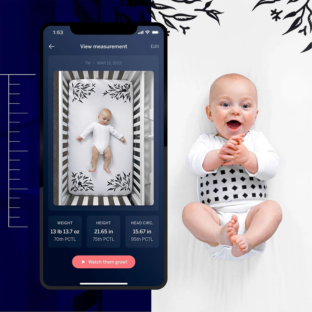 Smart Sheet One-Pack
