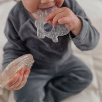 Cooling Nature Teethers - Earth
