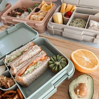 Boite à Lunch Bento - Dino Ville