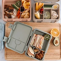Boite à Lunch Bento - Dino Ville