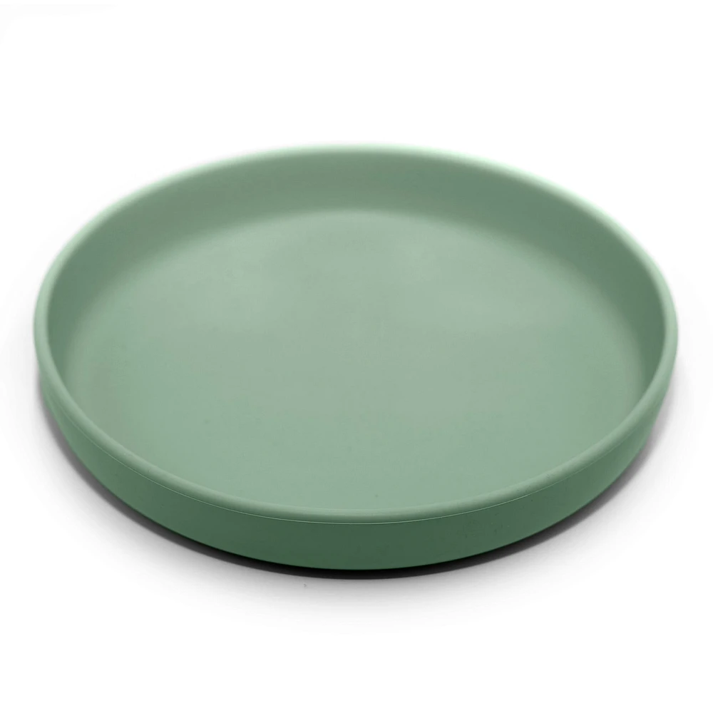 Flat Plate Fern