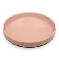 Flat Plate Soft Blush