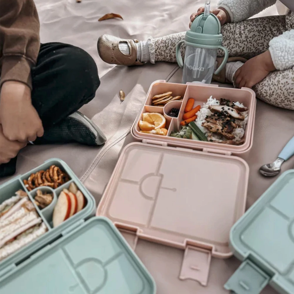 Boite à Lunch Bento - Dune