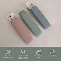 Reusable Utensil Set & Carry Case