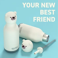 Bouteille 16oz Ours Polaire