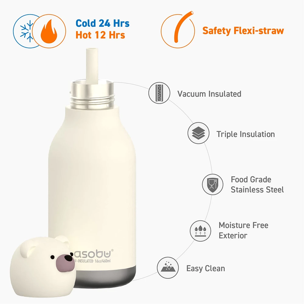 Bouteille 16oz Ours Polaire