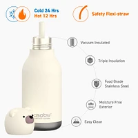Bouteille 16oz Ours Polaire