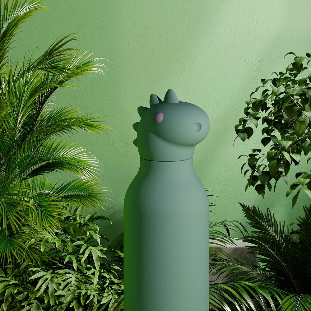 Bouteille 16oz Dino