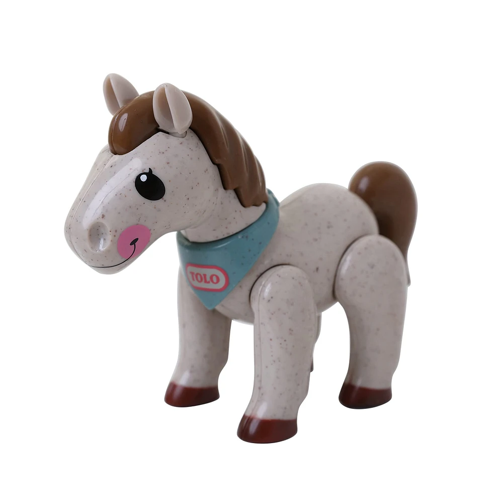 Poney - 1er Amis
