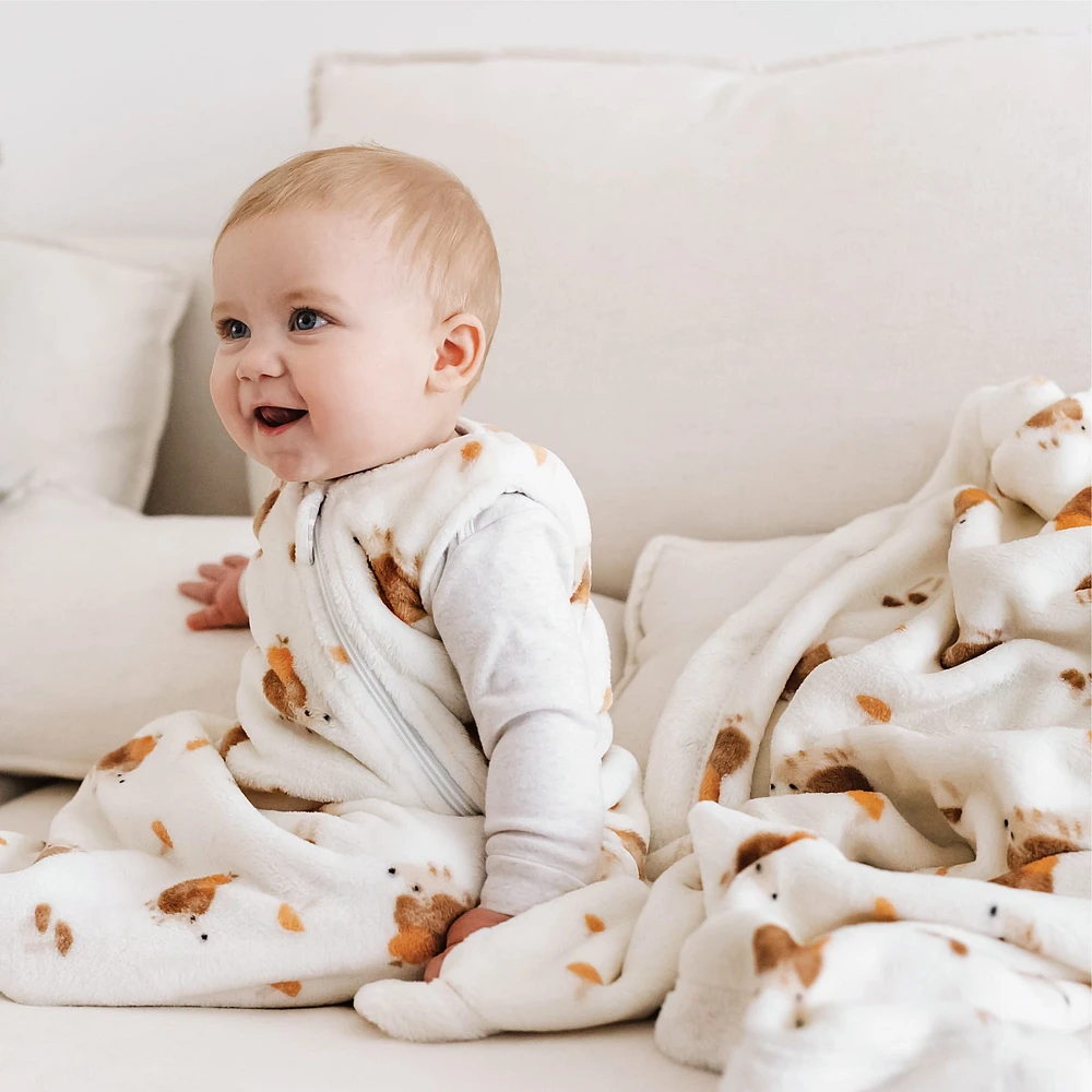 Plush Blanket - Hedgehogs