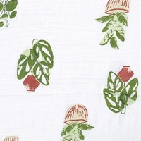 Couverture Mousseline