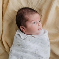 Muslin Swaddle Blanket - Insects