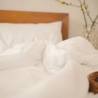 Microfiber Twin Duvet 300g