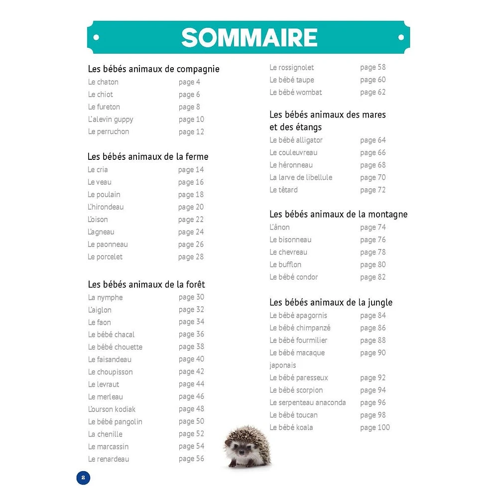 Mon Grand Animalier des Bébés Animaux