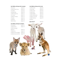 Mon Grand Animalier des Bébés Animaux