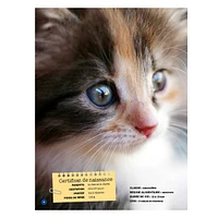 Mon Grand Animalier des Bébés Animaux