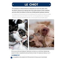 Mon Grand Animalier des Bébés Animaux