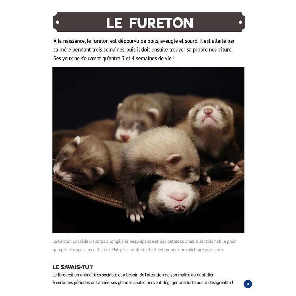 Mon Grand Animalier des Bébés Animaux