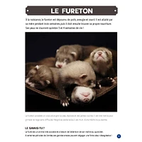 Mon Grand Animalier des Bébés Animaux