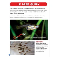 Mon Grand Animalier des Bébés Animaux