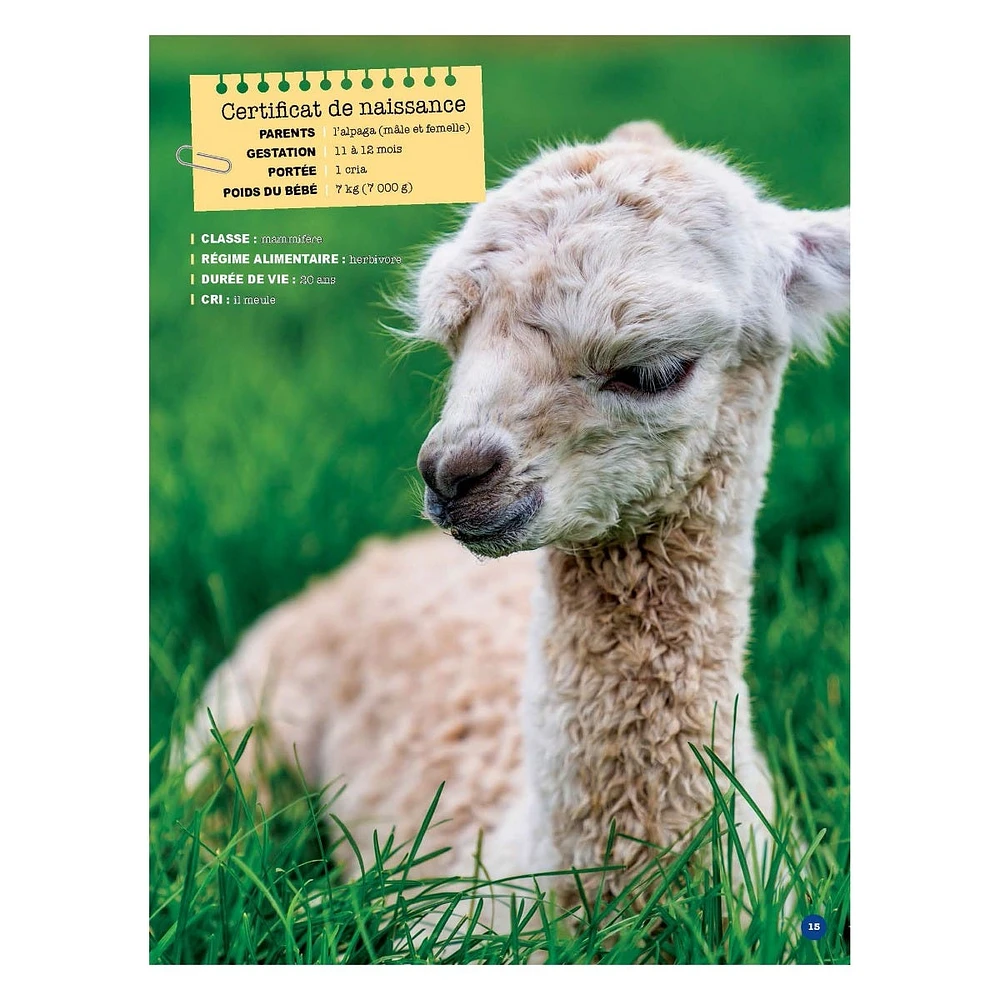Mon Grand Animalier des Bébés Animaux