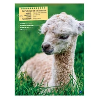 Mon Grand Animalier des Bébés Animaux