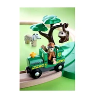 Safari Railway Set
