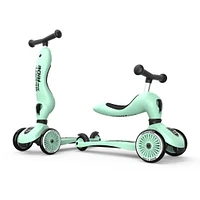 Trottinette 2-1 Steel Kiwi