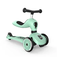 Trottinette 2-1 Steel Kiwi