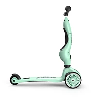 Trottinette 2-1 Steel Kiwi