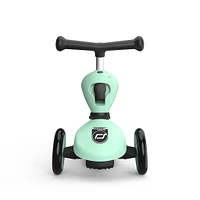 Trottinette 2-1 Steel Kiwi