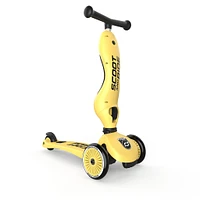 Trottinette 2-1 Steel Citron