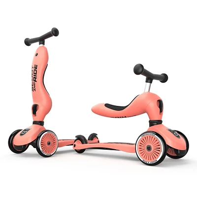 Trottinette 2-1 Steel Peche