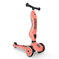 Trottinette 2-1 Steel Peche