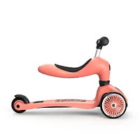 Trottinette 2-1 Steel Peche
