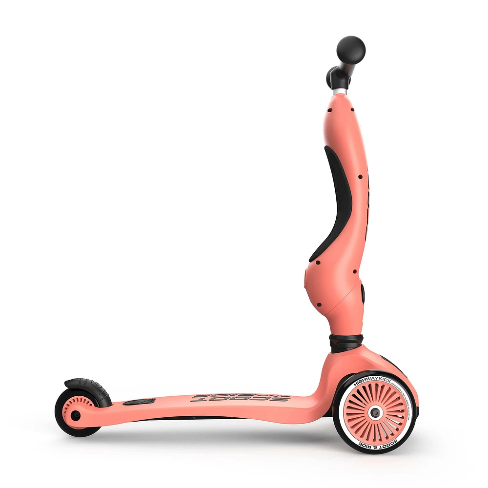 Trottinette 2-1 Steel Peche