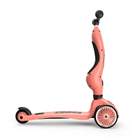 Trottinette 2-1 Steel Peche