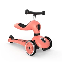 Trottinette 2-1 Steel Peche