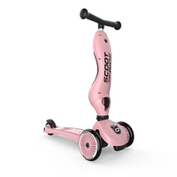 Kickboard With Seat Pink