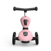 Kickboard With Seat Pink