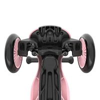 Kickboard With Seat Pink