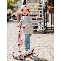 Kickboard With Seat Pink
