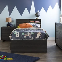 Fynn Twin Headboard with Storage