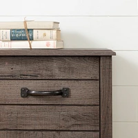 Bookcase Double Headboard with Doors - Ulysses Fall Oak