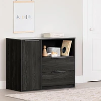 Door Chest with 2 Drawers - Hourra Gray Oak